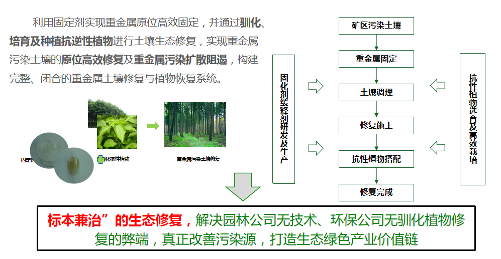 羞羞网站在线播放方案優勢