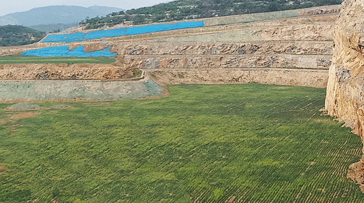 鶴壁市淇濱區南太行地區山水林田湖草生態保護羞羞网站在线播放工程